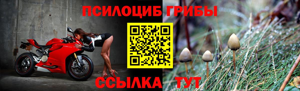 Галлюциногенные грибы ЛСД Грозный